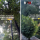 Mpnbagas(1250 x 849 px) mpn 2025 07 14t162430.520