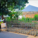 Mpnbagas(1250 x 849 px) mpn 2025 07 17t142702.306
