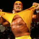 Profil Hulk Hogan, Pegulat Legendaris WWE yang Tutup Usia