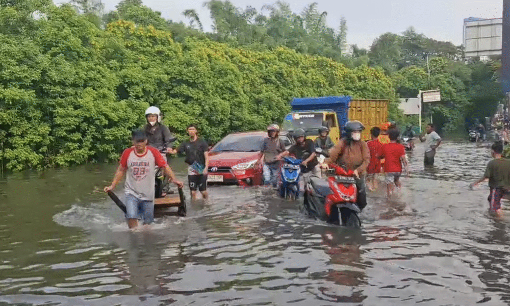 Mpnbagas(1250 x 849 px) mpn (45)