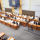 Mpnbagas(1250 x 849 px) mpn (52)