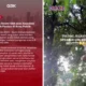 Pengelola gbk buka suara imbas suara tak senonoh yang muncul dari speaker taman
