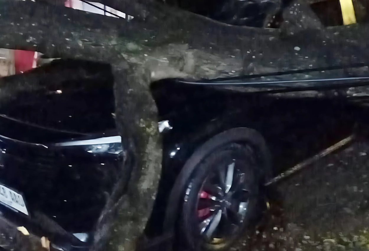 Pohon tumbang di bogor timpa mobil akibat hujan deras dan angin kencang
