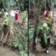 Viral! warga tangerang berebut air ajaib dari akar beringin, disebut penuh berkah
