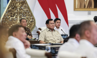 Alasan prabowo beri amnesti abolisi ke hasto kristiyanto dan tom lembong