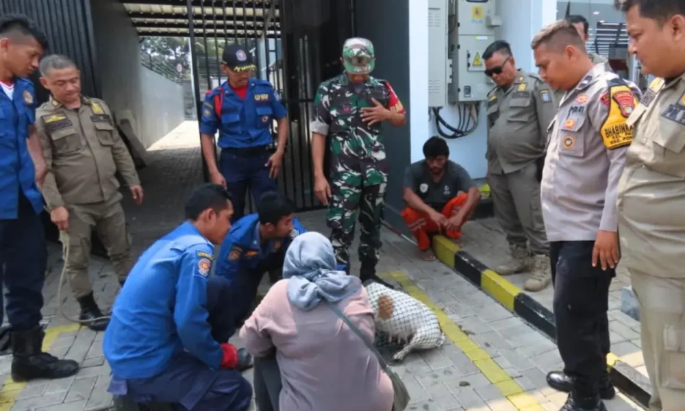 Damkar evakuasi anjing liar usai gigit anak kecil di alun alun pondok aren