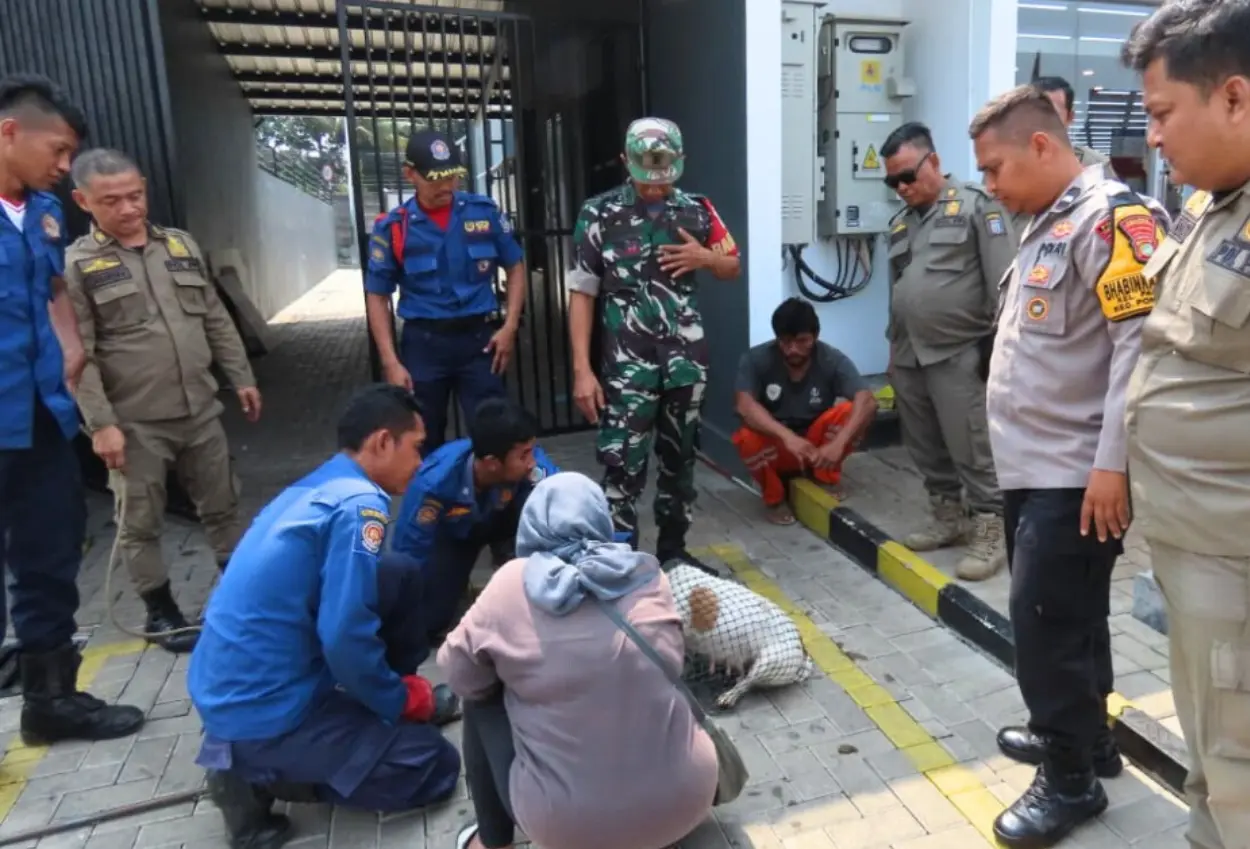 Damkar evakuasi anjing liar usai gigit anak kecil di alun alun pondok aren