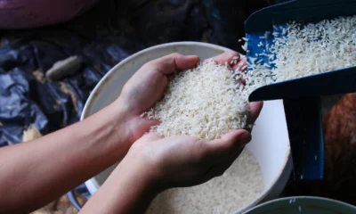 Harga beras di 200 daerah naik, ada yang tembus rp60 ribu per kg!