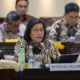 Kenapa iuran bpjs naik 2026 ini kata sri mulyani