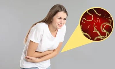 Mengenal 10 fakta soal cacing gelang, parasit yang bisa hidup di ususmu!