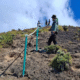 Pendakian gunung rinjani dibuka lagi hari ini, terapkan sop baru