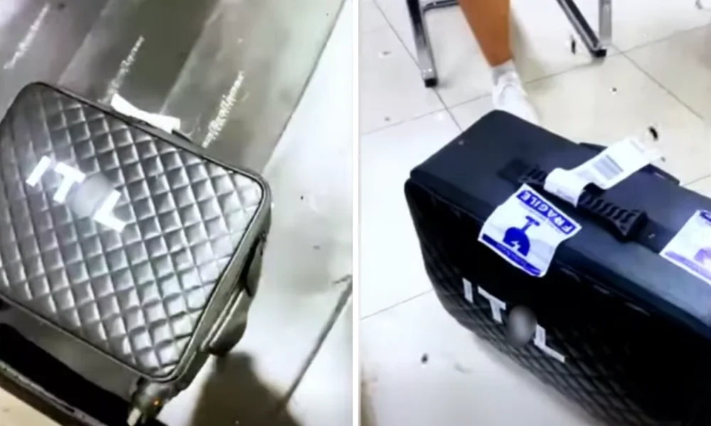 Penumpang transnusa kaget usai kopernya ditempel kata tak senonoh ini