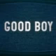 Rilis trailer baru, film good boy kapan tayang