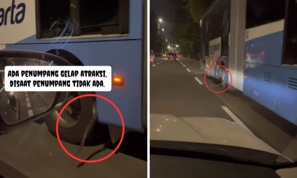 Viral di medsos ular bergelantung di ban bus transjakarta, begini kata pihak tj