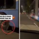 Viral di medsos ular bergelantung di ban bus transjakarta, begini kata pihak tj