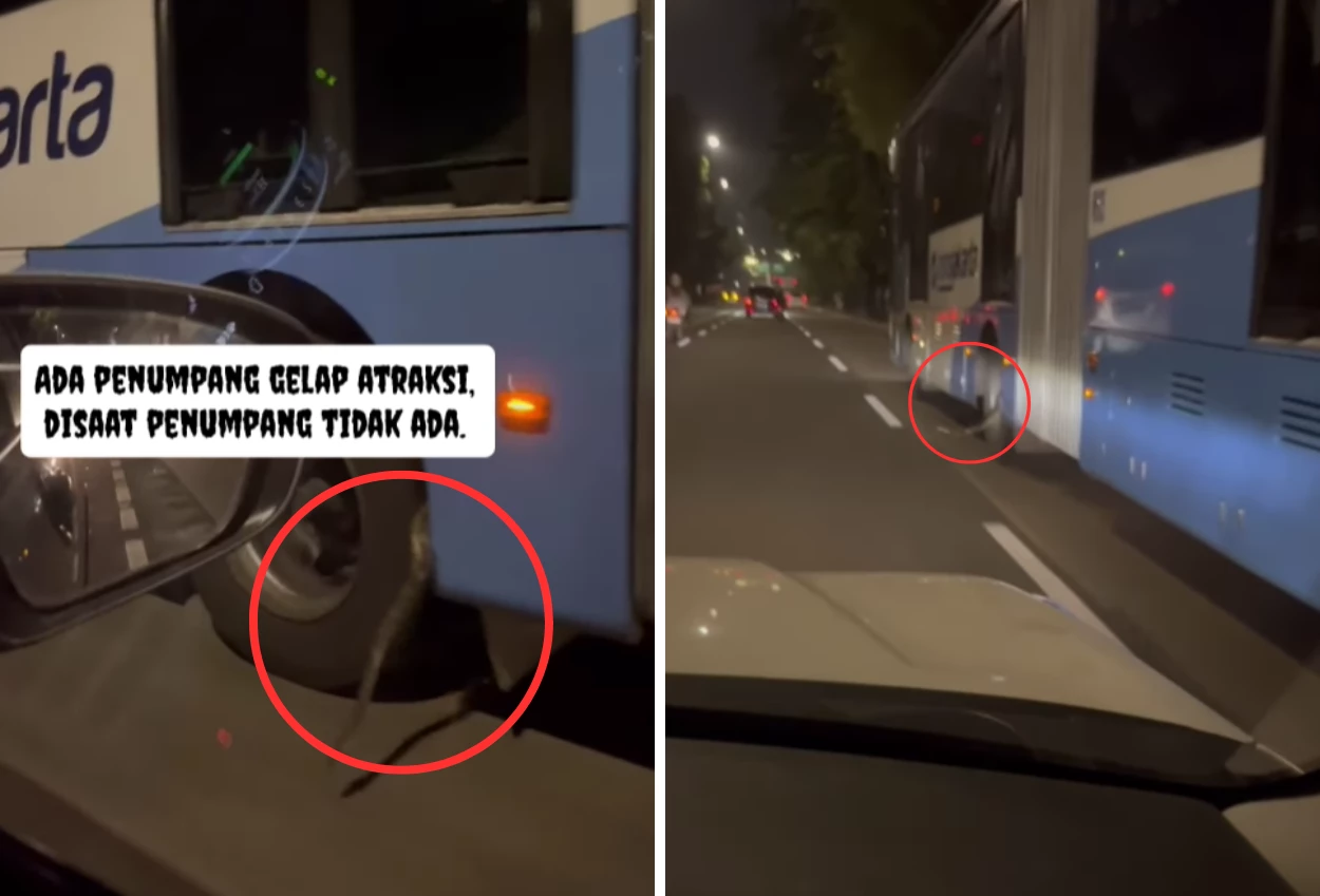 Viral di medsos ular bergelantung di ban bus transjakarta, begini kata pihak tj