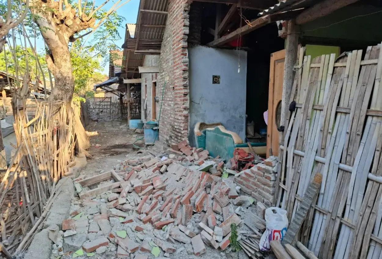 Bpbd catat 64 rumah rusak akibat gempa di situbondo