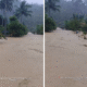 Banjir bandang di lampung barat 5 rumah hanyut, ratusan warga mengungsi tengah malam