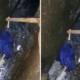 Bikin geger! warga temukan bayi terlilit tali pusar di selokan kebayoran baru