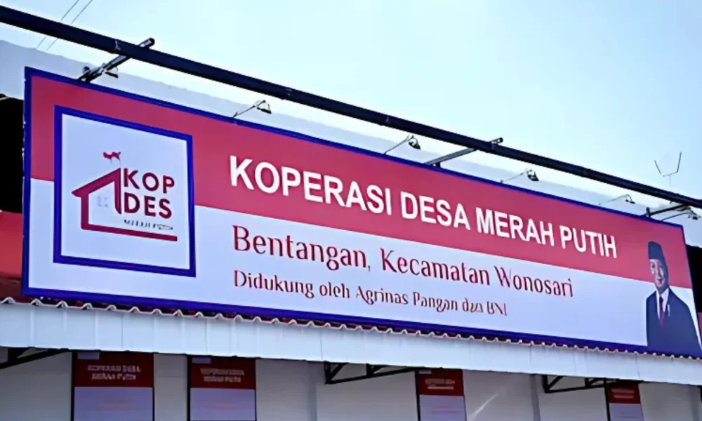 Kopdes merah putih kini bisa pinjam rp3 m berkat kucuran dana rp200 t ke himbara