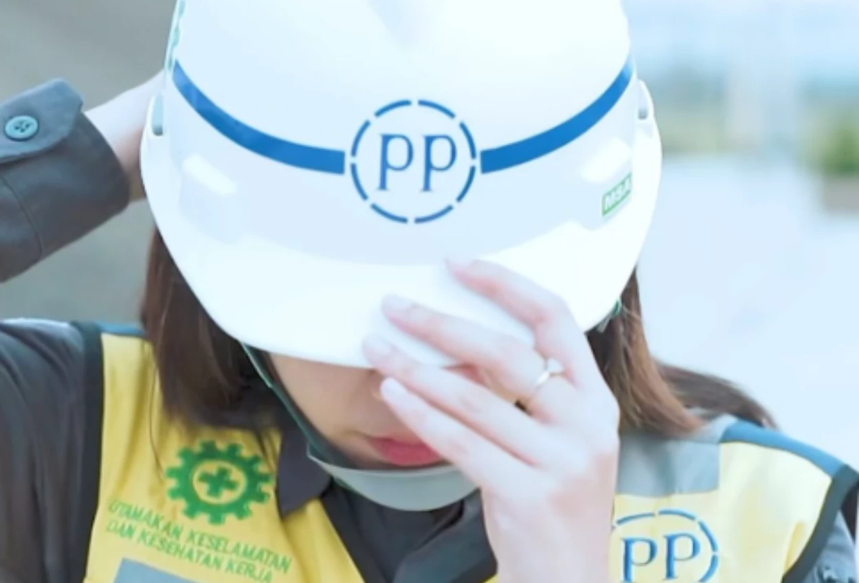 Pt pp digugat pailit oleh 2 perusahaan
