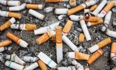 Saham emiten rokok kembali meroket usai cukai rokok 2026 dipastikan tak jadi naik