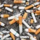 Saham emiten rokok kembali meroket usai cukai rokok 2026 dipastikan tak jadi naik