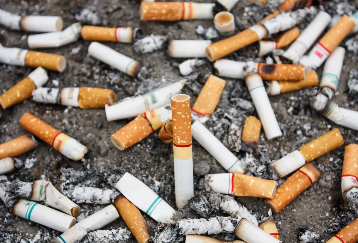 Saham emiten rokok kembali meroket usai cukai rokok 2026 dipastikan tak jadi naik