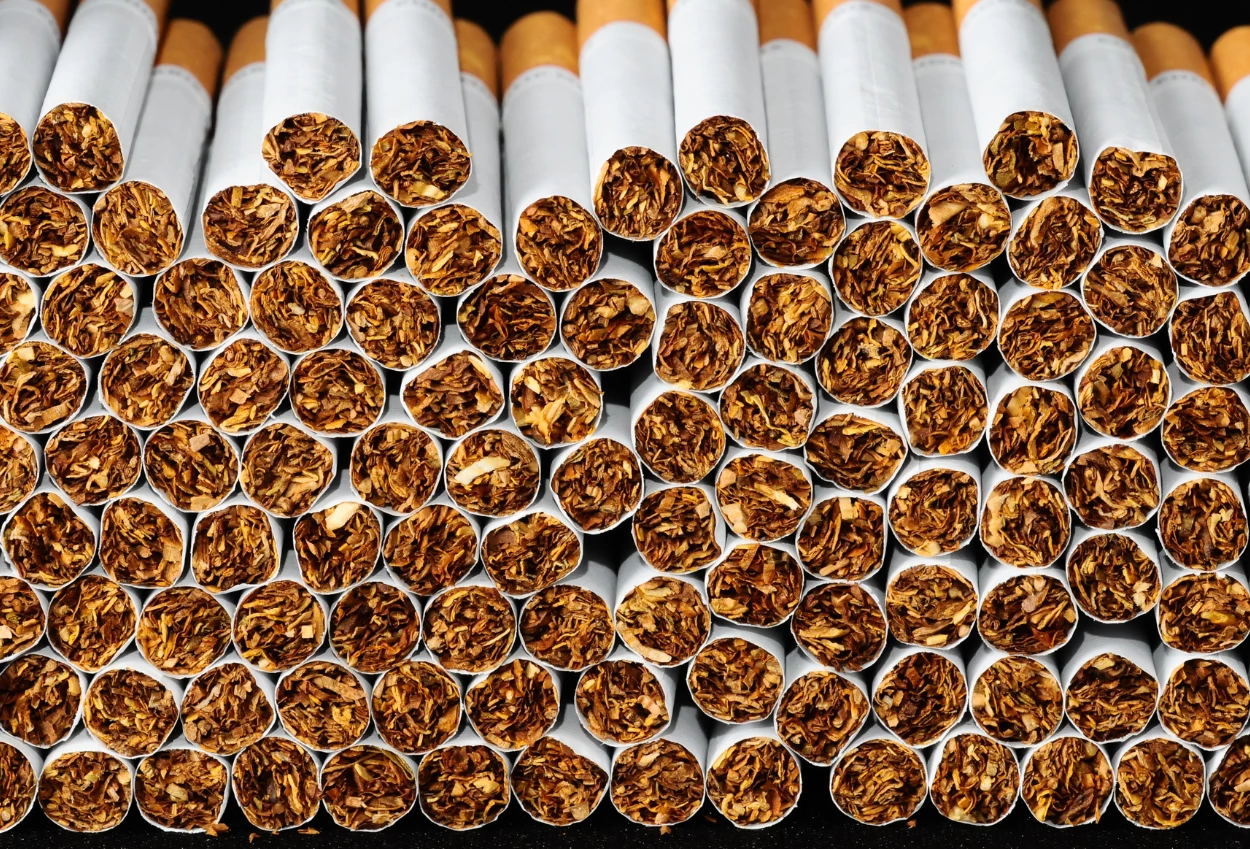 Terungkap! 60% tembakau untuk rokok di indonesia ternyata hasil impor