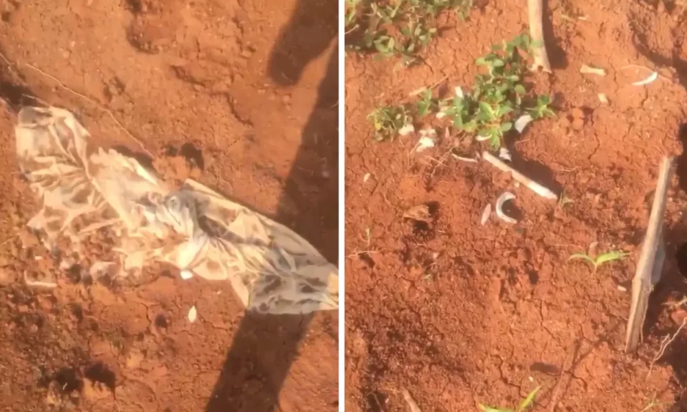 Viral! kain kafan dan kerangka manusia ditemukan di proyek perumahan tangerang