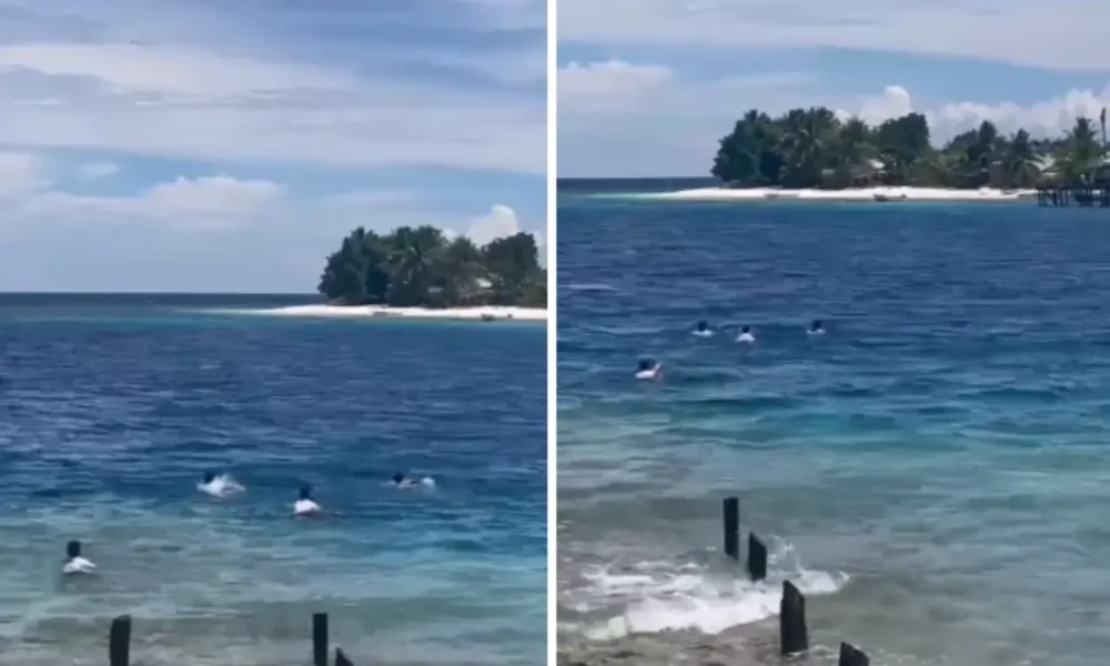 Viral! siswa di morotai rela berenang menyebrangi laut usai pulang sekolah
