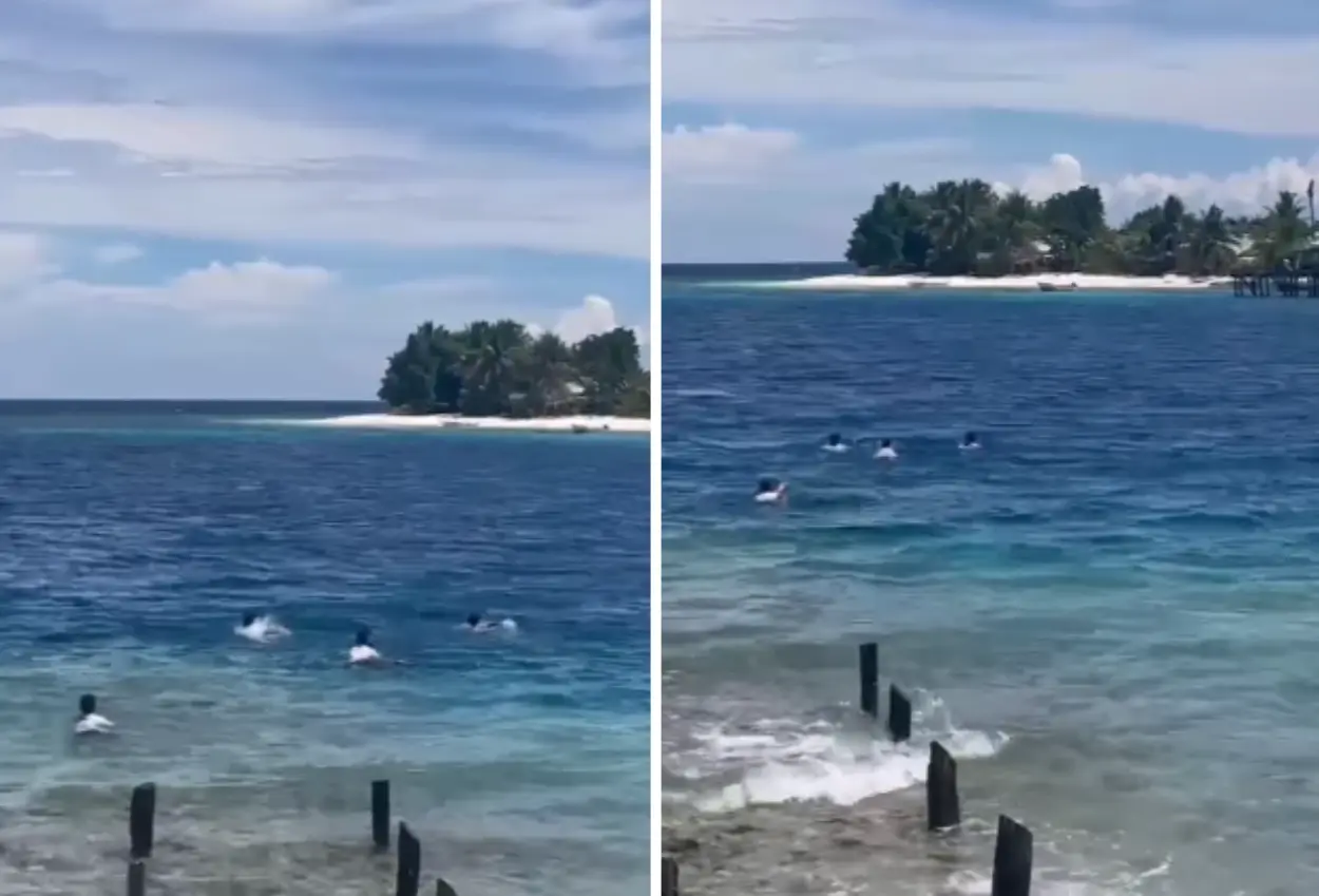 Viral! siswa di morotai rela berenang menyebrangi laut usai pulang sekolah