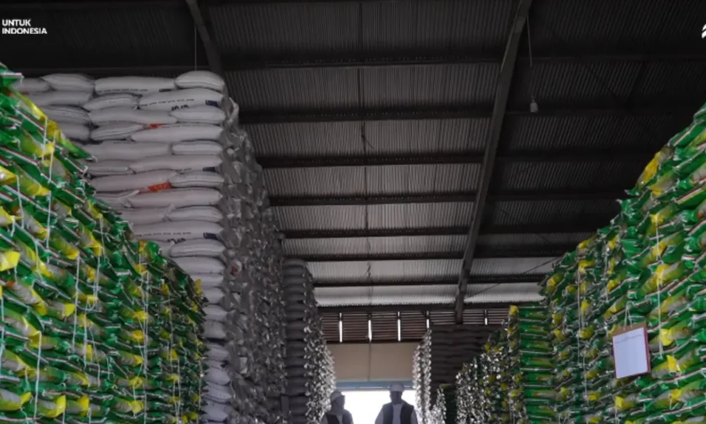 1,45 juta ton beras numpuk di gudang bulog 6 bulan, 29 ribu ton turun mutu