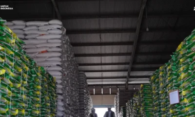 1,45 juta ton beras numpuk di gudang bulog 6 bulan, 29 ribu ton turun mutu