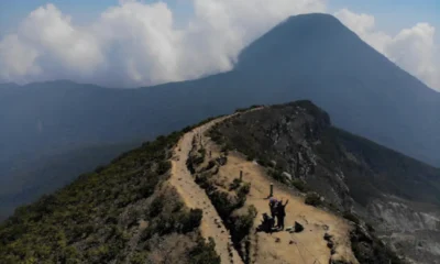 36 pendaki ilegal nekat naik gunung gede pangrango yang sedang ditutup
