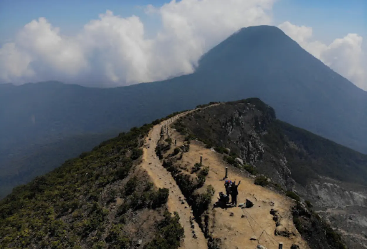 36 pendaki ilegal nekat naik gunung gede pangrango yang sedang ditutup