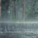 Bmkg prediksi la nina datang akhir tahun ini, warga diimbau waspada curah hujan tinggi
