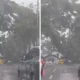 Diterjang hujan dan angin kencang, pohon di tangsel tumbang timpa mobil