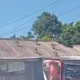 Kawanan monyet berkeliaran di tangsel, gelantungi kabel listrik hingga naik atap warga