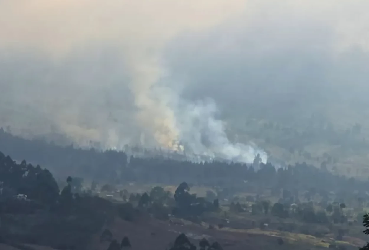 Kebakaran hutan di gunung rinjani hanguskan 36 hektare lahan