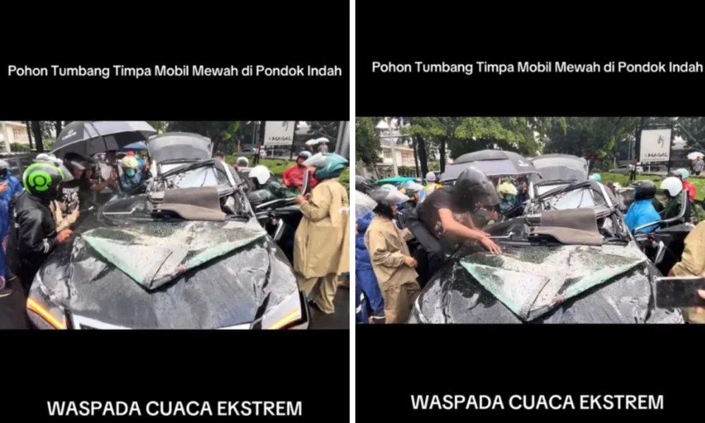 Kronologi mobil lexus tertimpa pohon tumbang di pondok indah hingga satu orang tewas