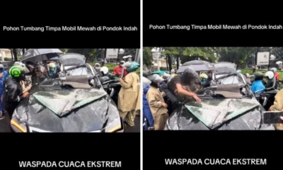 Kronologi mobil lexus tertimpa pohon tumbang di pondok indah hingga satu orang tewas