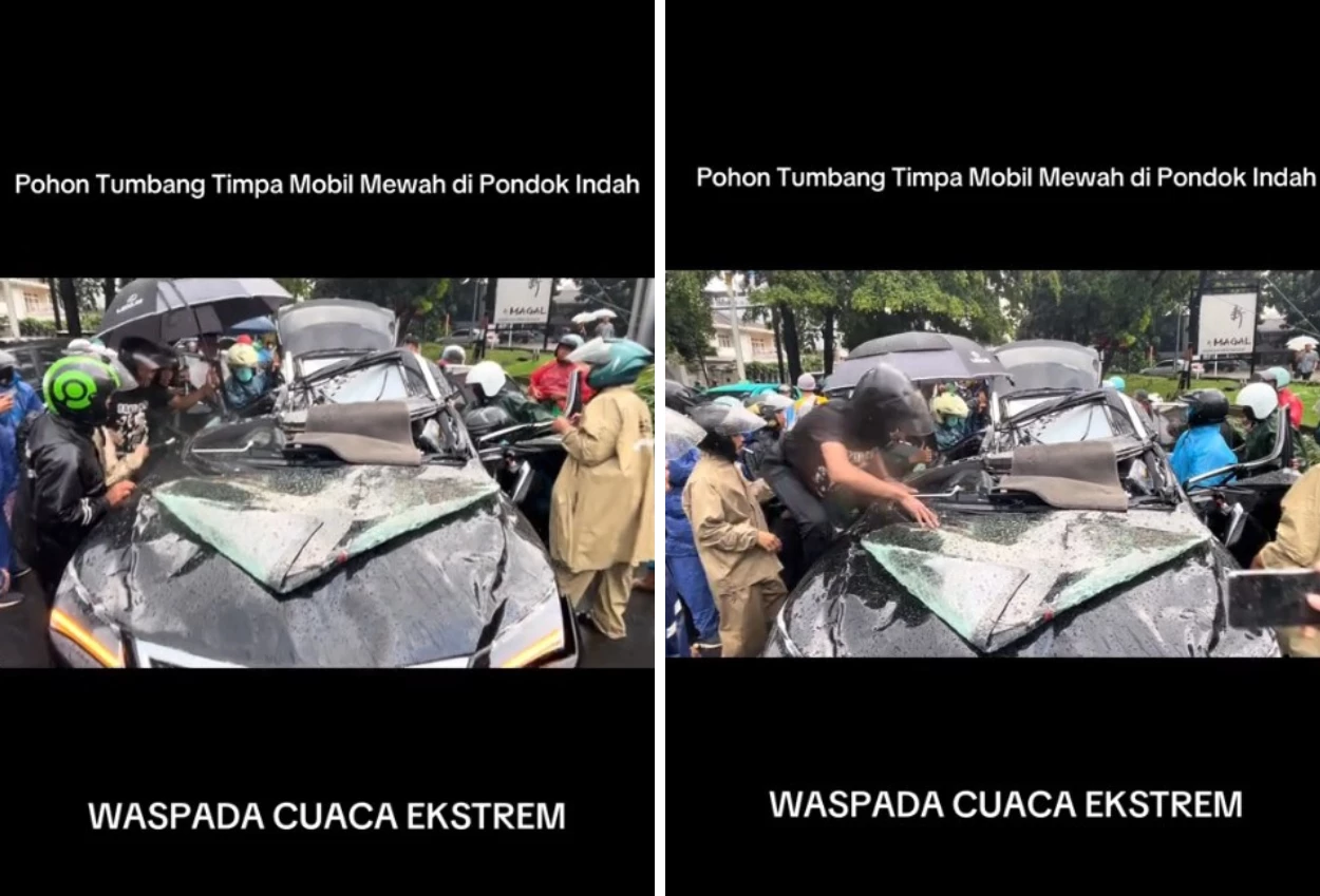 Kronologi mobil lexus tertimpa pohon tumbang di pondok indah hingga satu orang tewas