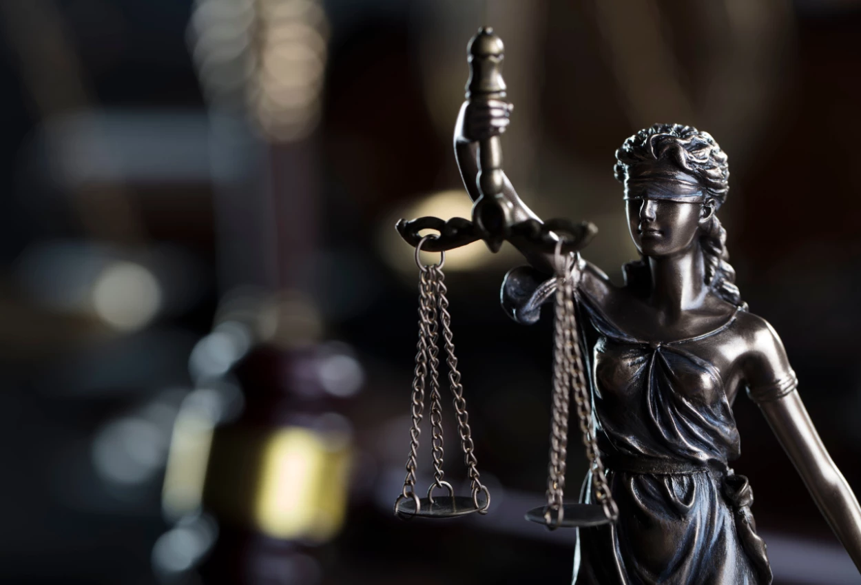 Memahami peran amicus curiae