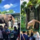 Mulai hari ini, ragunan buka sampai malam, ada dua paket seru yang bisa dicoba!
