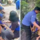 Para anggota baru diksar komunitas pecinta alam himpasus di bitung jadi korban penganiayaan, ditampar hingga ditendang