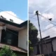 Tangsel siapkan alat pembius hewan usai kesulitan tangkap monyet liar