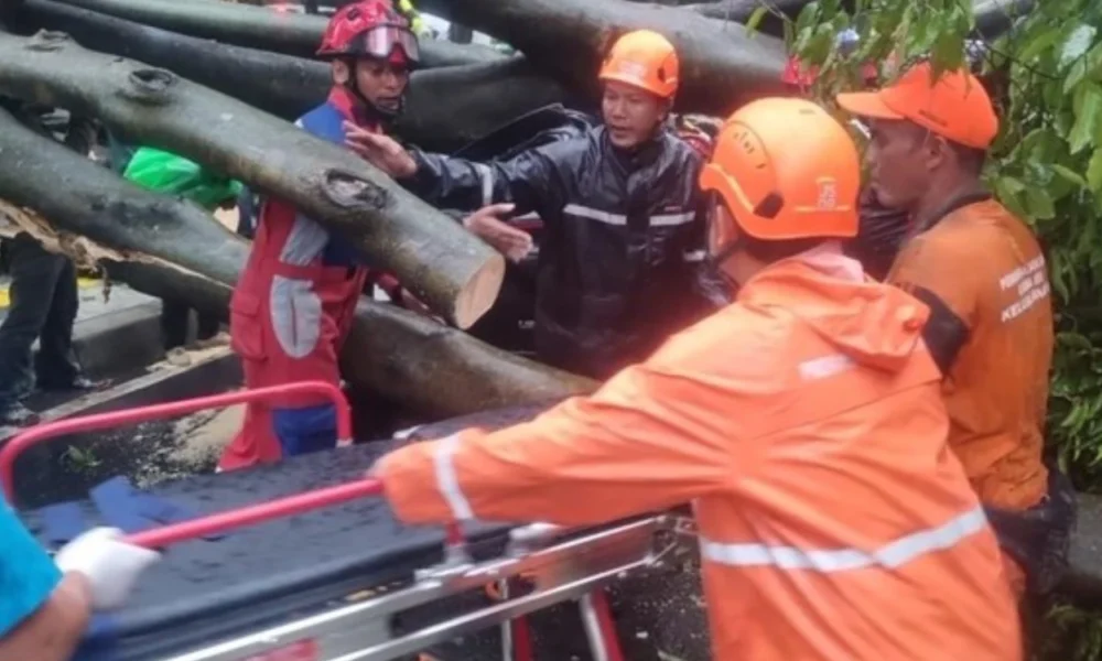 Terjadi lagi! pohon tumbang timpa mobil di dharmawangsa, satu orang tewas