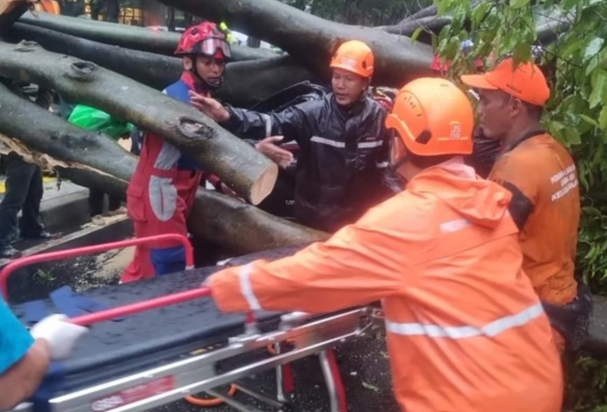 Terjadi lagi! pohon tumbang timpa mobil di dharmawangsa, satu orang tewas