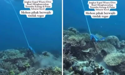 Viral! jangkar kapal wisata rusak terumbu karang di labuan bajo